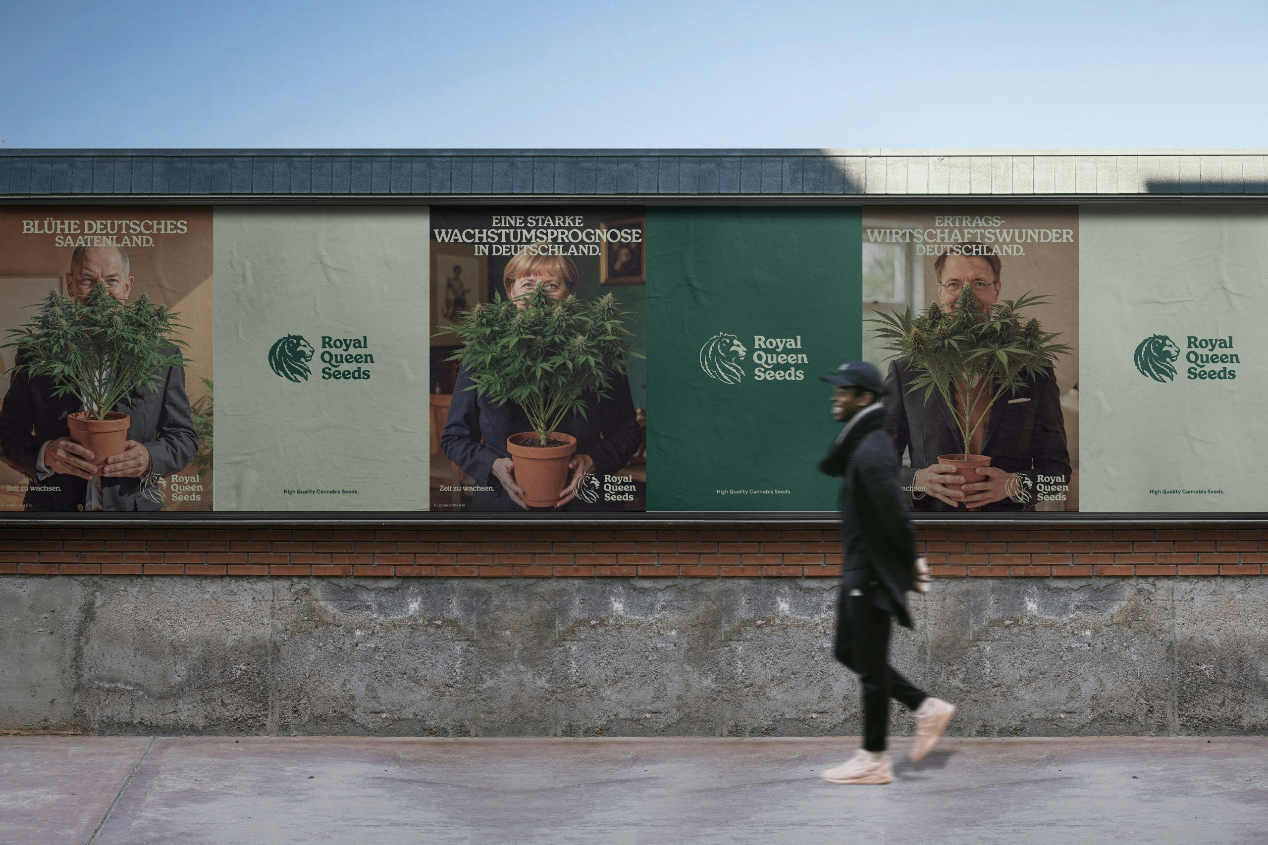 F1 Hybrid Cannabis Seeds