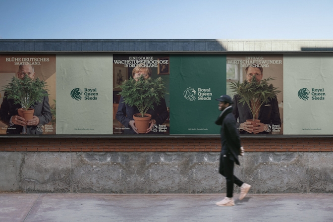 F1 Hybrid Cannabis Seeds