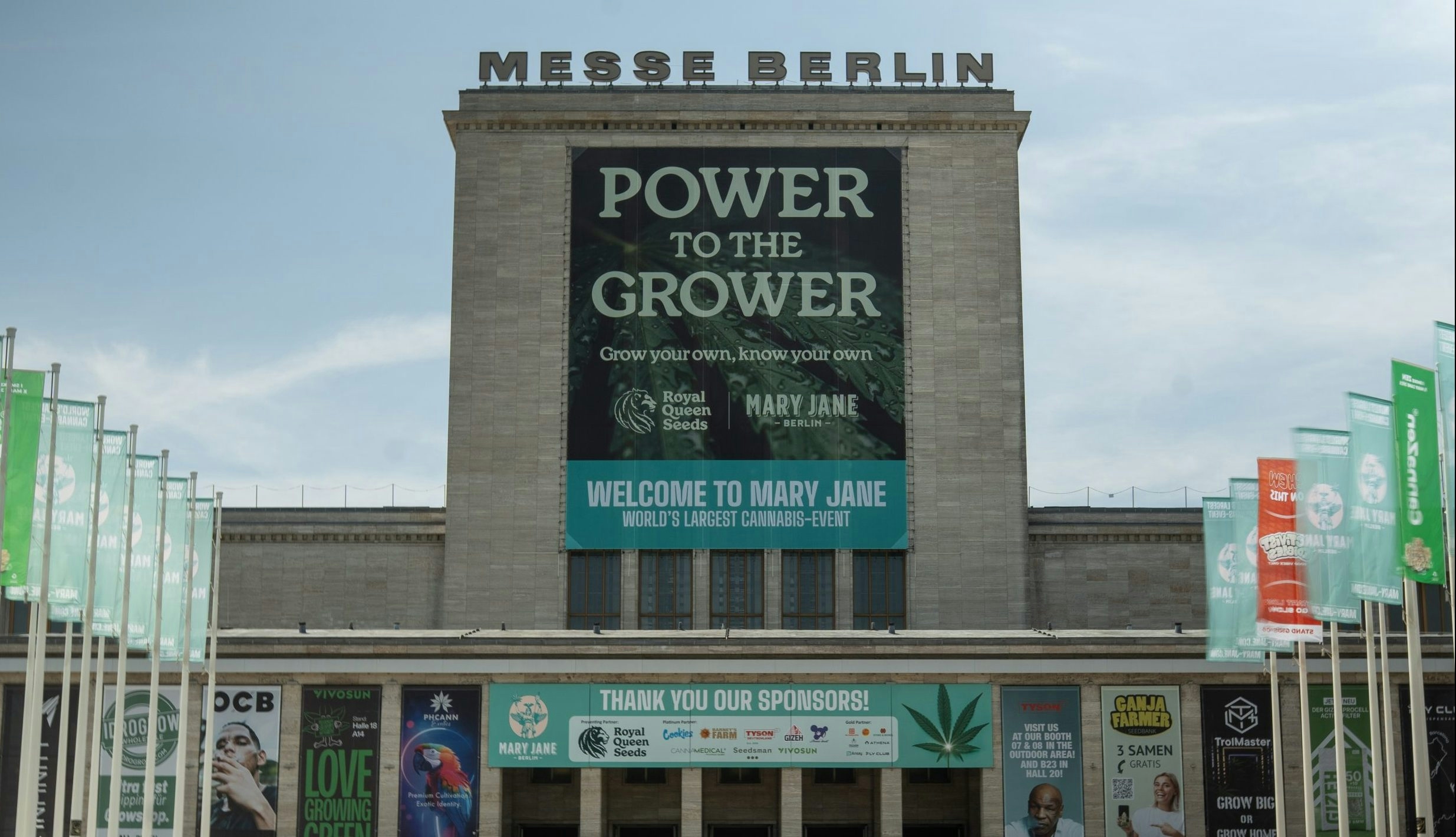 F1 Hybrid Cannabis Seeds