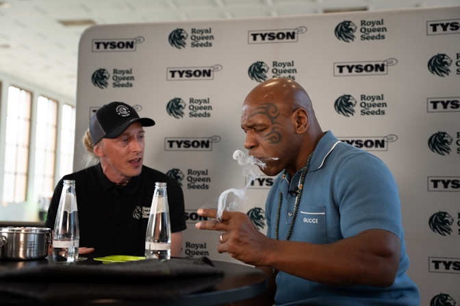 F1 Hybrid Cannabis Seeds