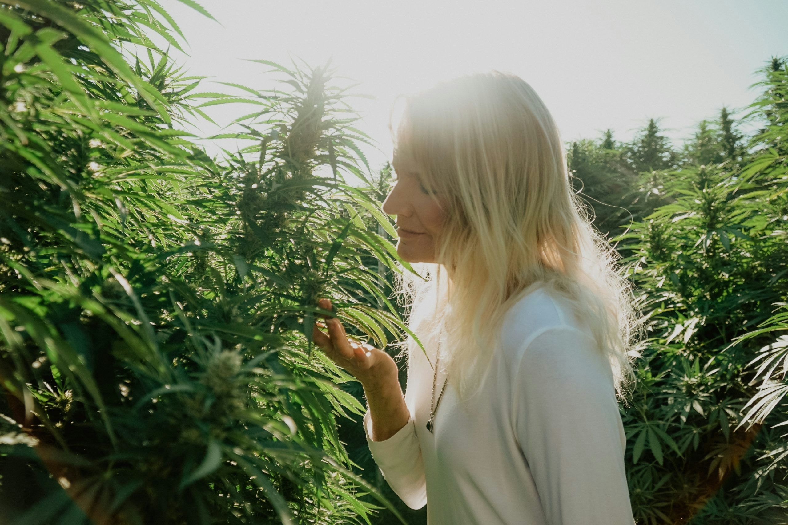 How to Smoke Weed in Moderation