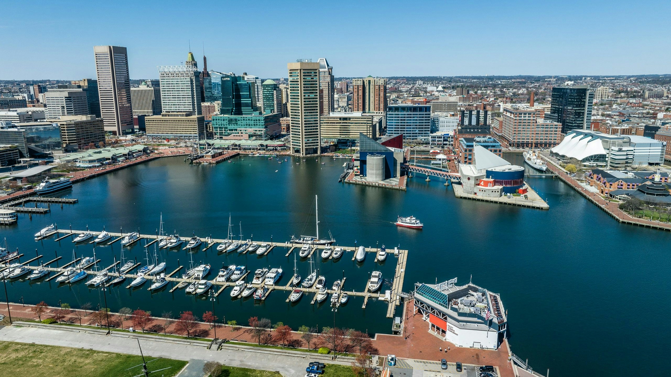 a marina with boats docked in it and a city in the background