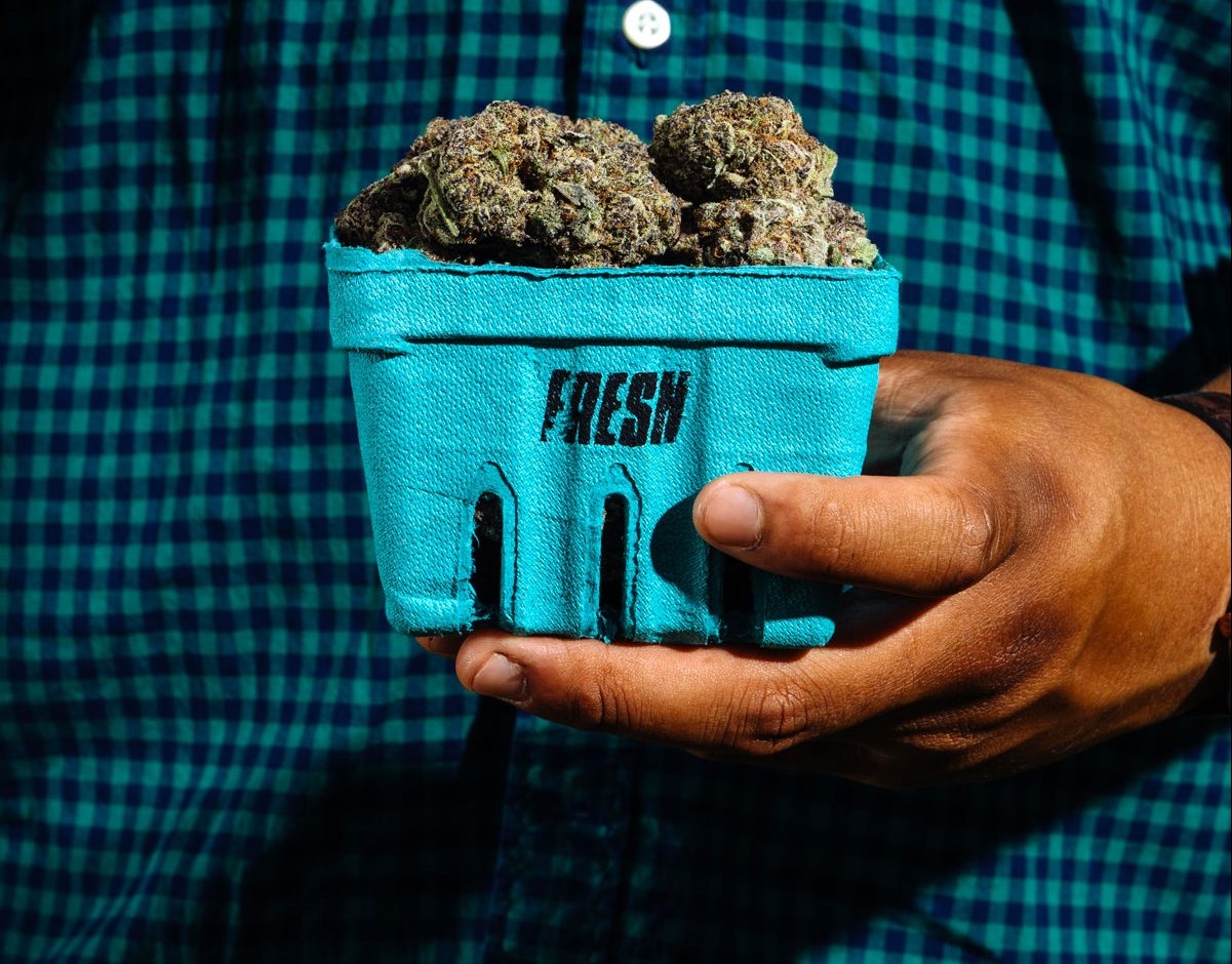 what does good weed look like