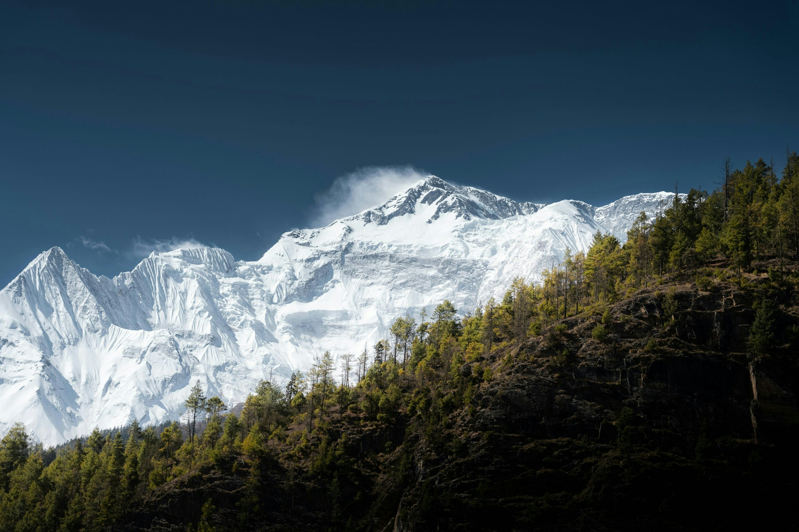 weed in the Himalayas