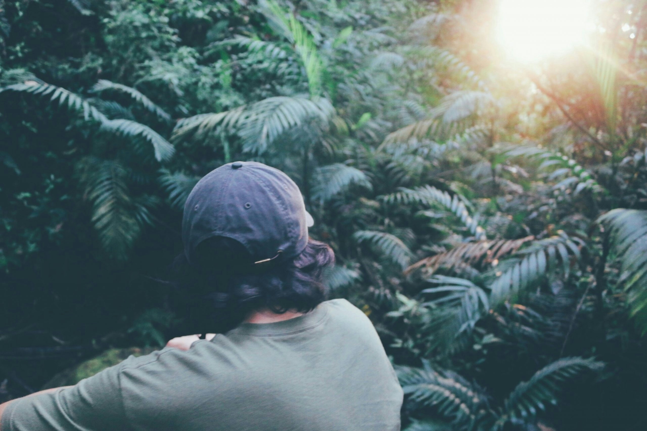Buy Weed in Costa Rica