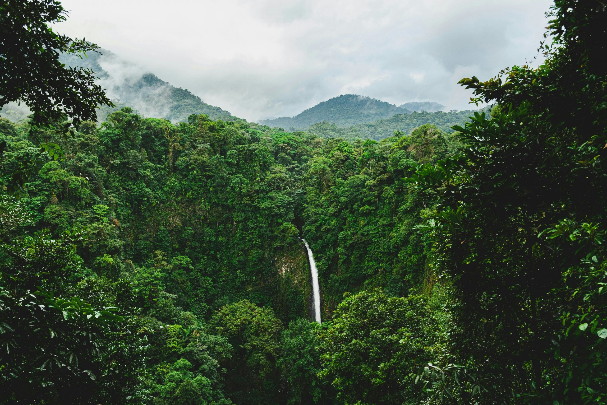 How to Buy Weed in Costa Rica: The Green Scene in Paradise