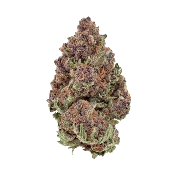 Purple Haze