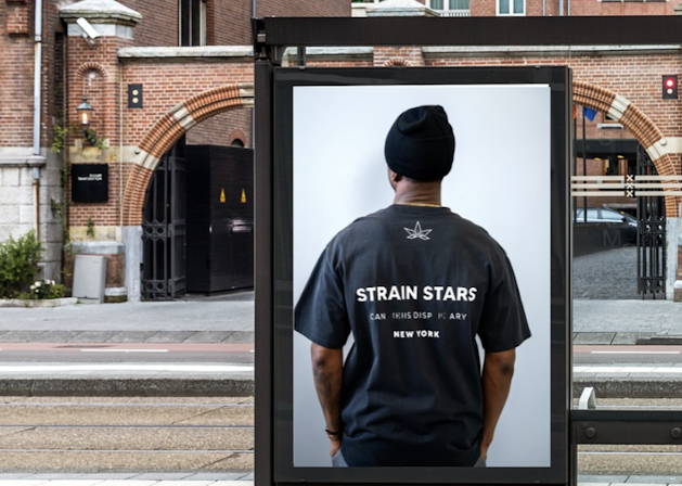 strain stars delivery review