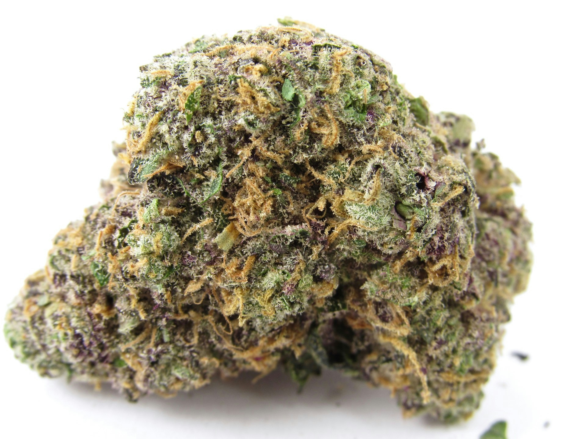 bestnewweedstrains