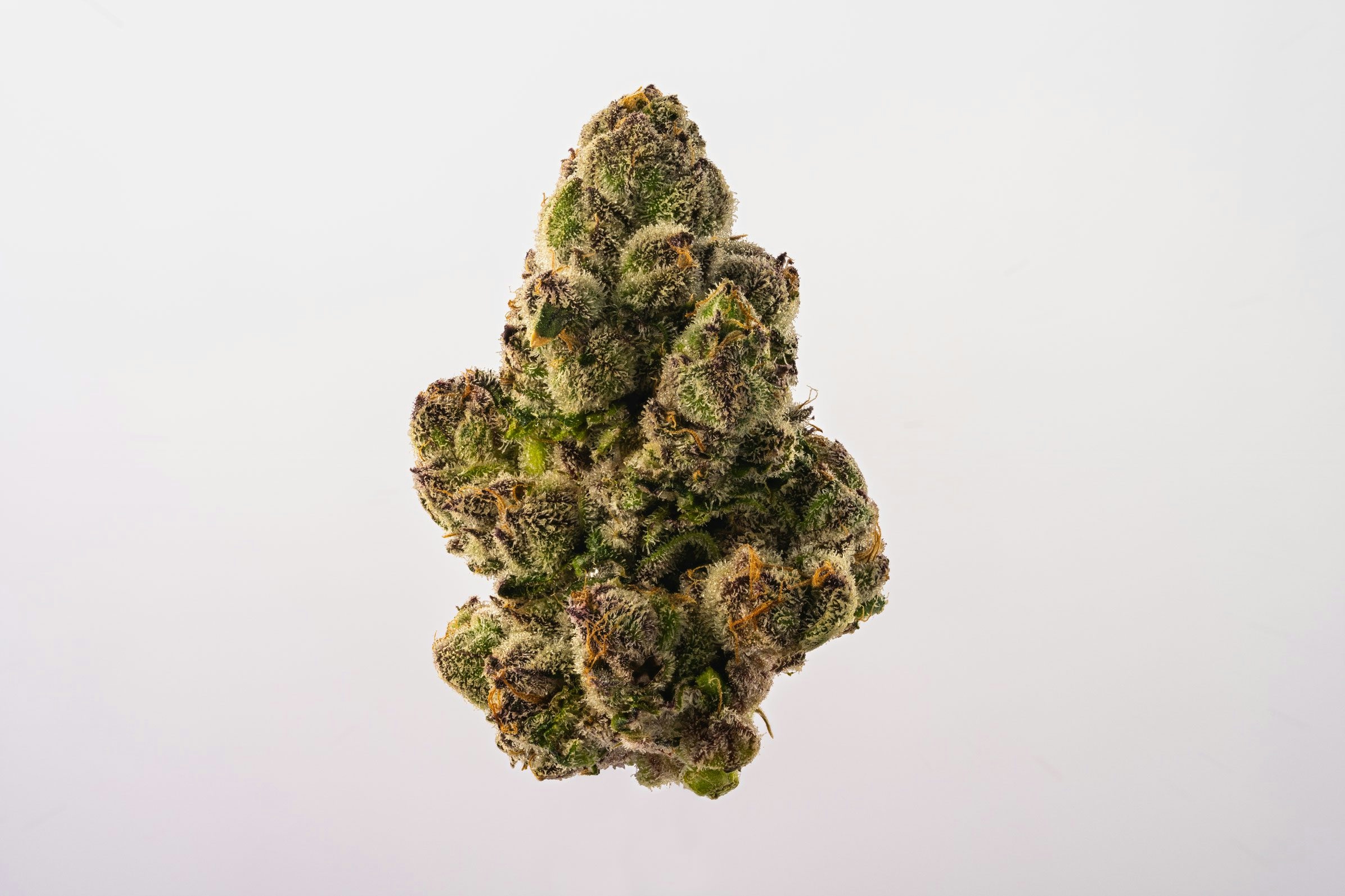 best new weed strains