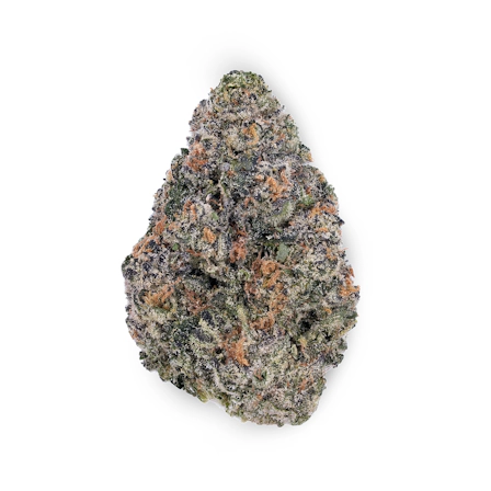 8 Best New Weed Strains 2026 Has Seen So Far