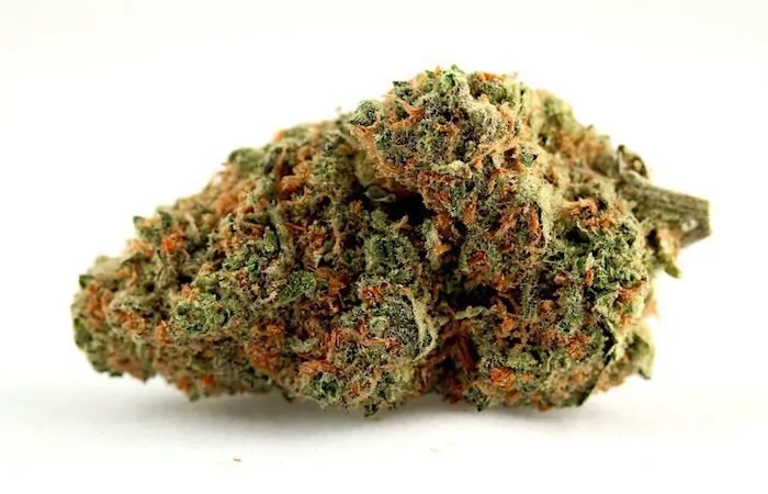 8 Best New Weed Strains 2026 Has Seen So Far