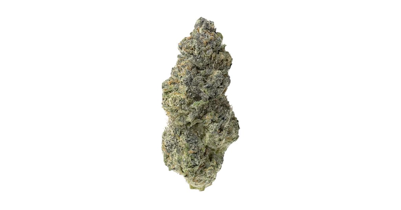 best new weed strains