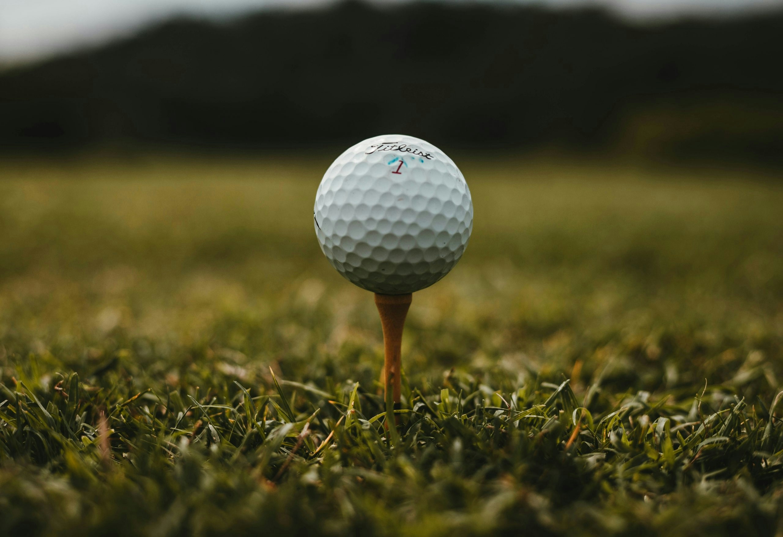 White golf ball sitting on the grass before a shot