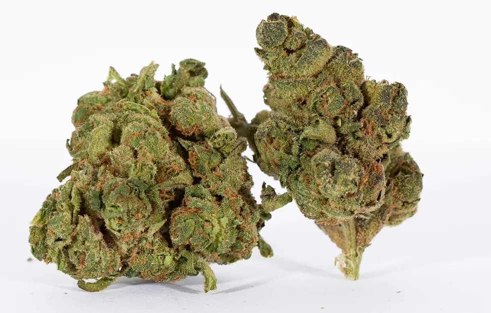 valentine's weed strains