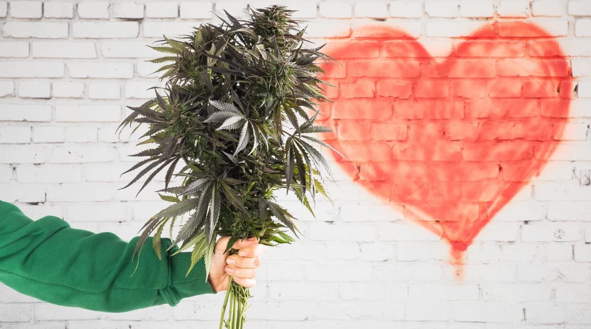 valentine's weed strains