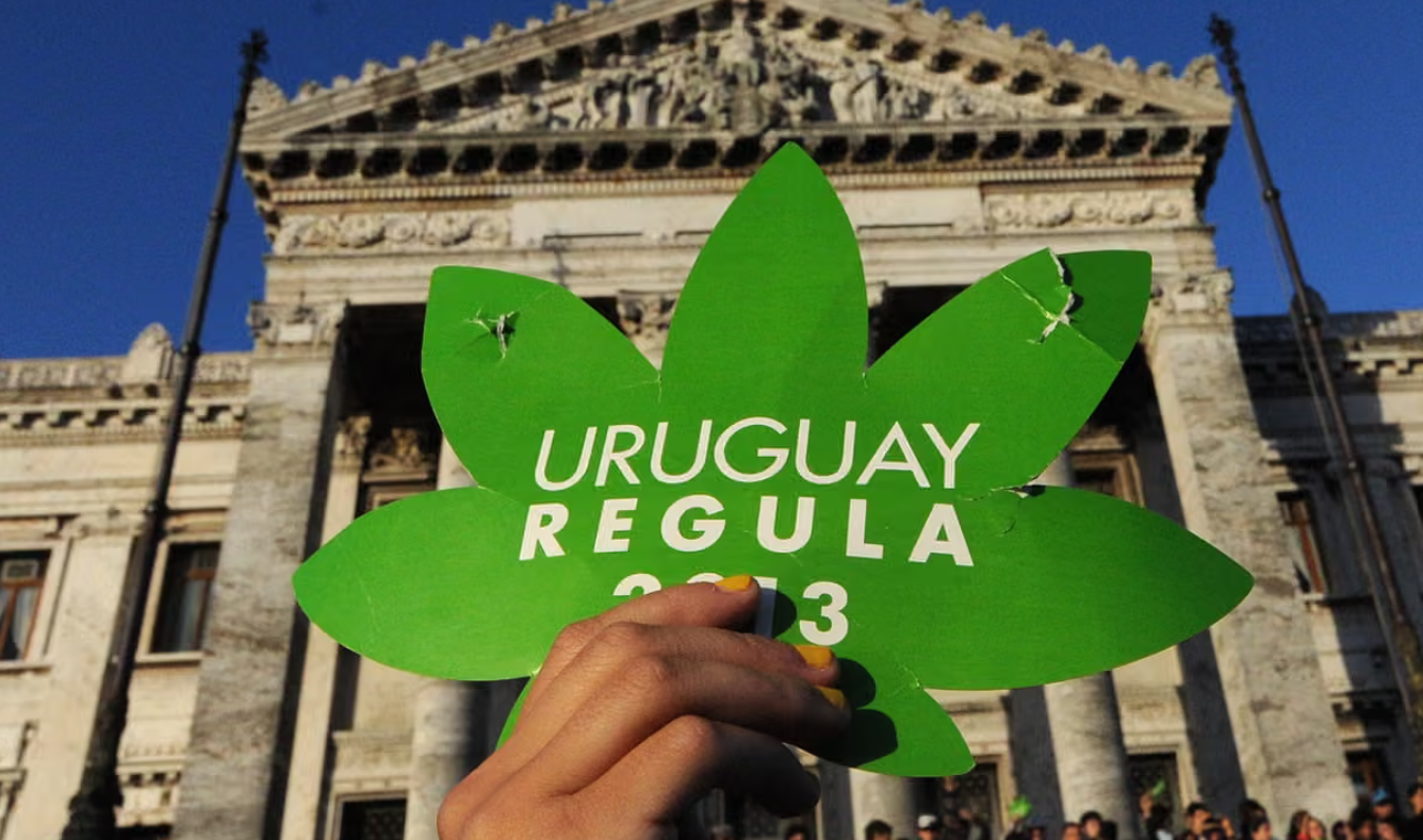 buy weed in uruguay