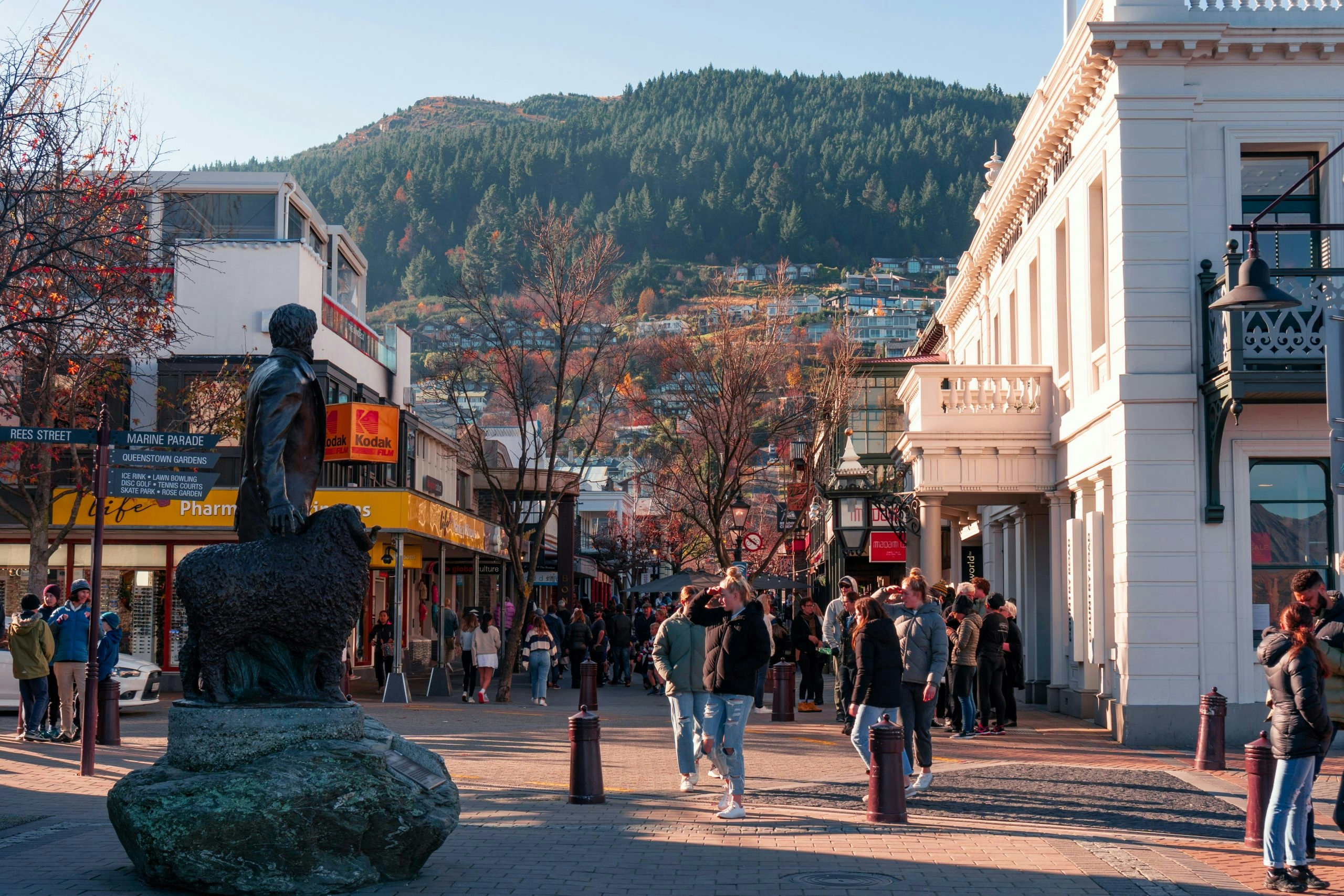 Buy Weed in New Zealand