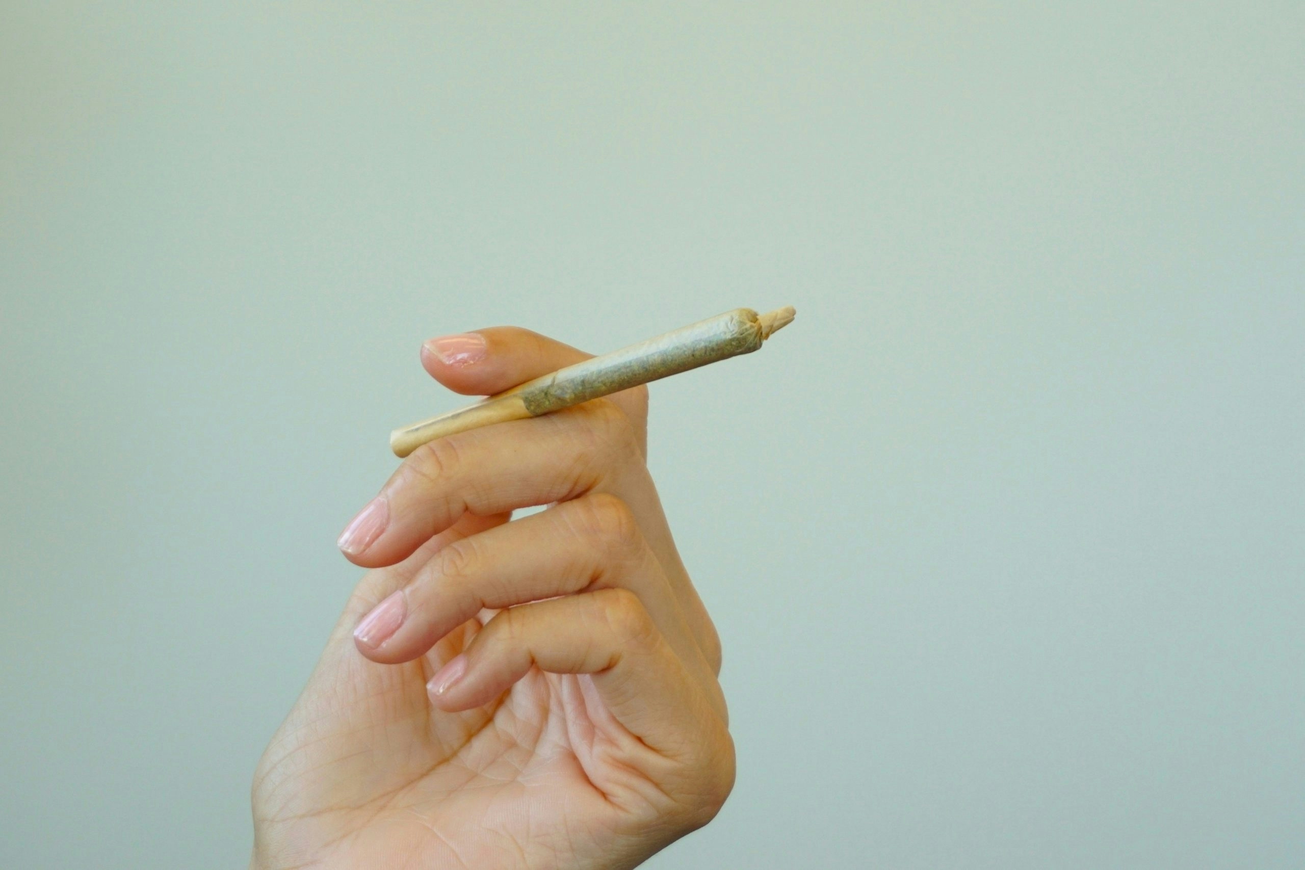 Buy Weed in New Zealand