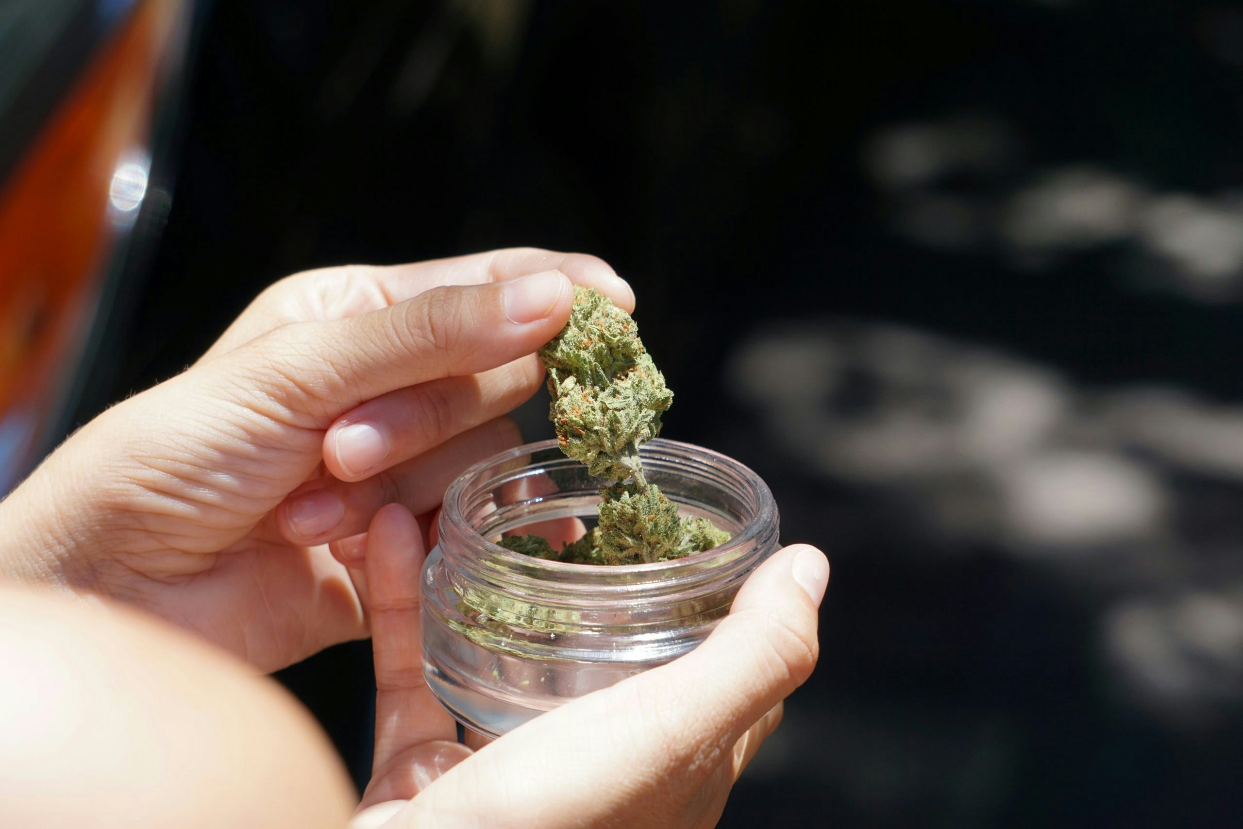 Buy Weed in New Zealand