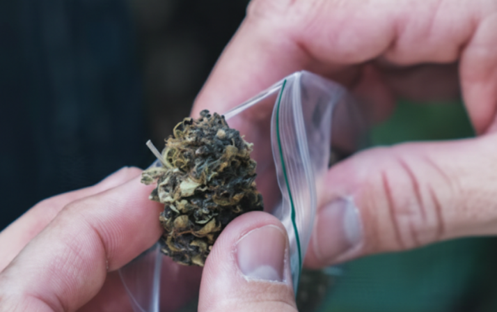 zaza delivery reviews