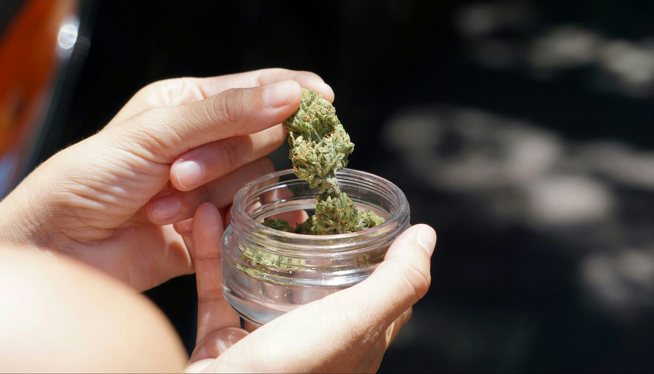 world’s best weed