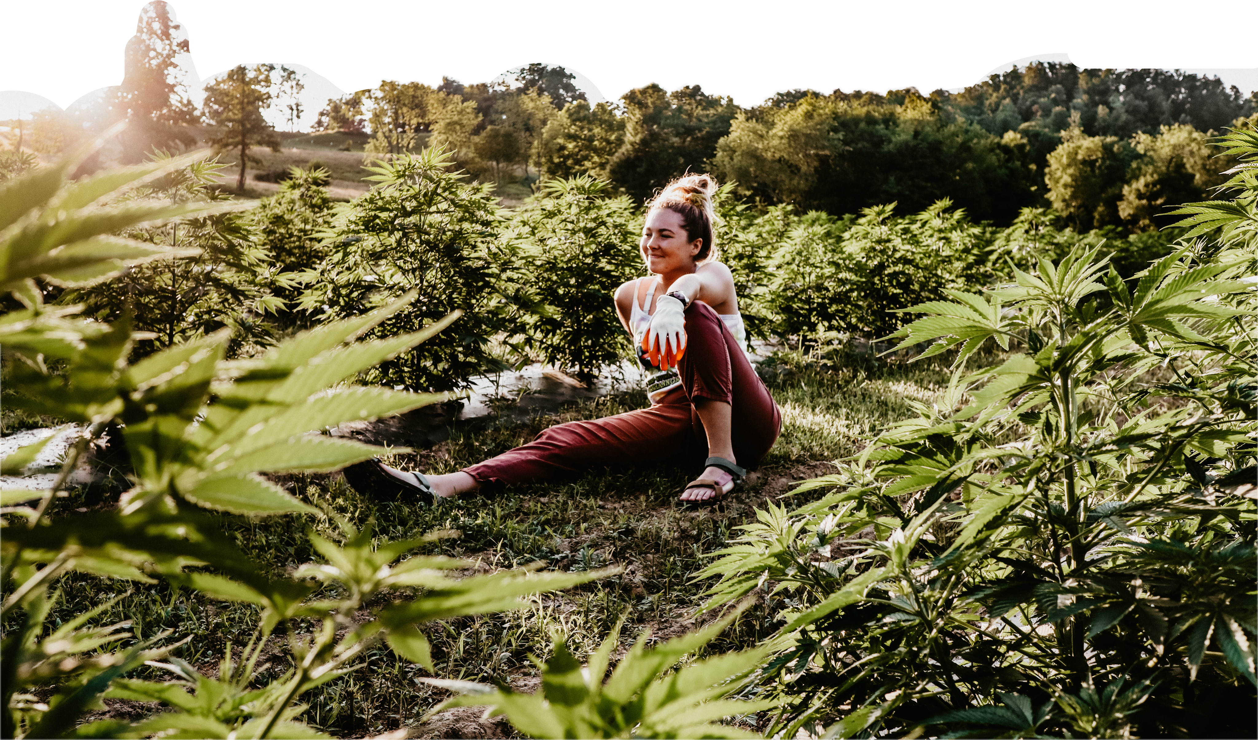 moon flower moon brews