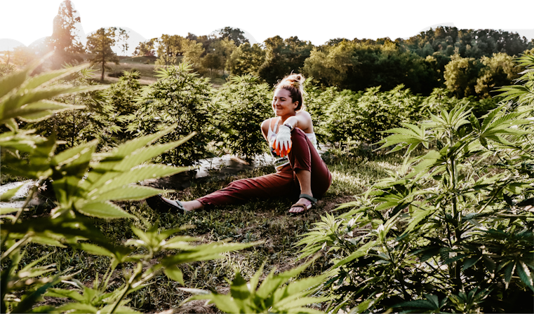 moon flower moon brews