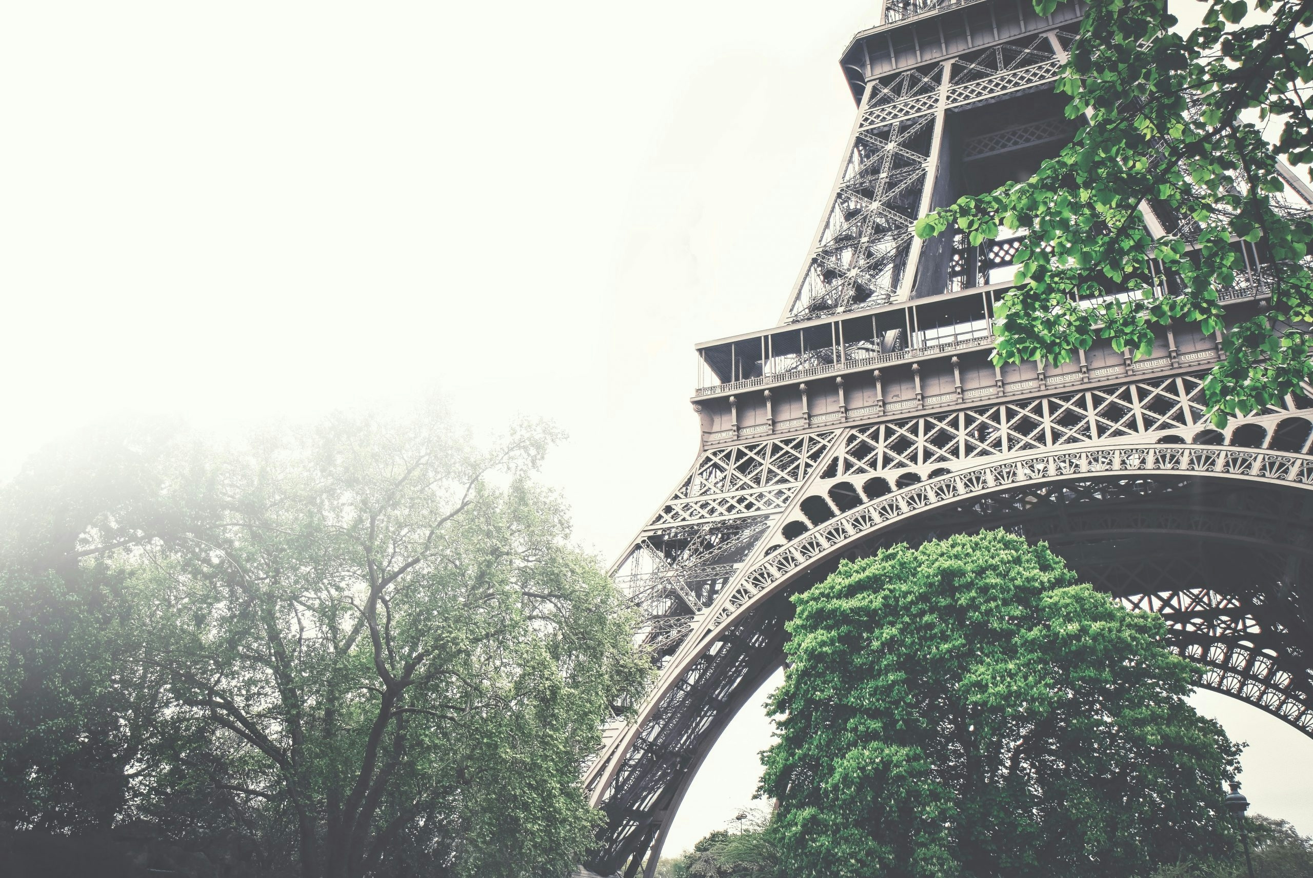 buy weed in paris