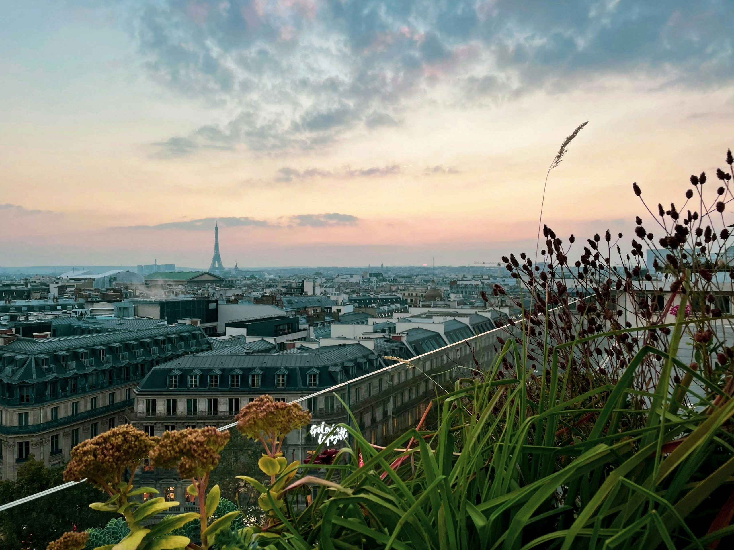 buy weed in paris