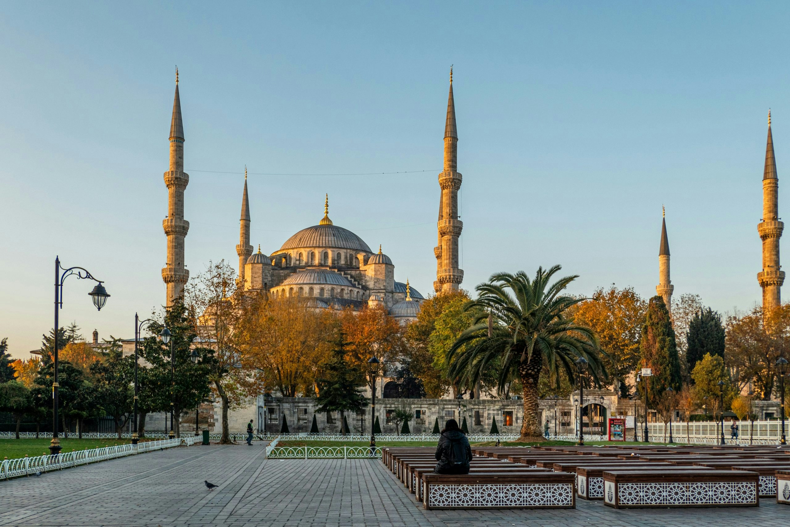 Buy Weed in Turkey