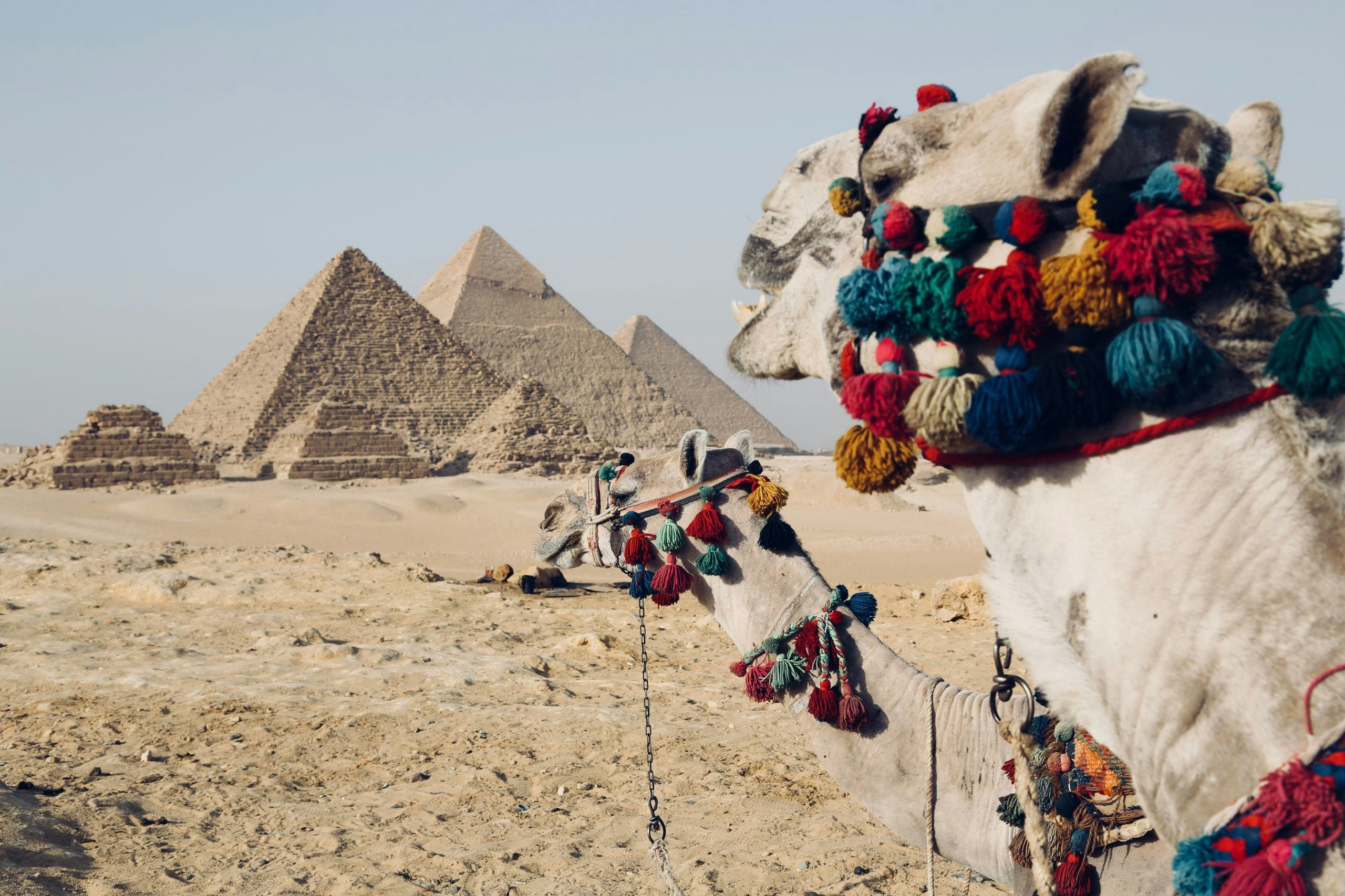 Buy Weed in Egypt