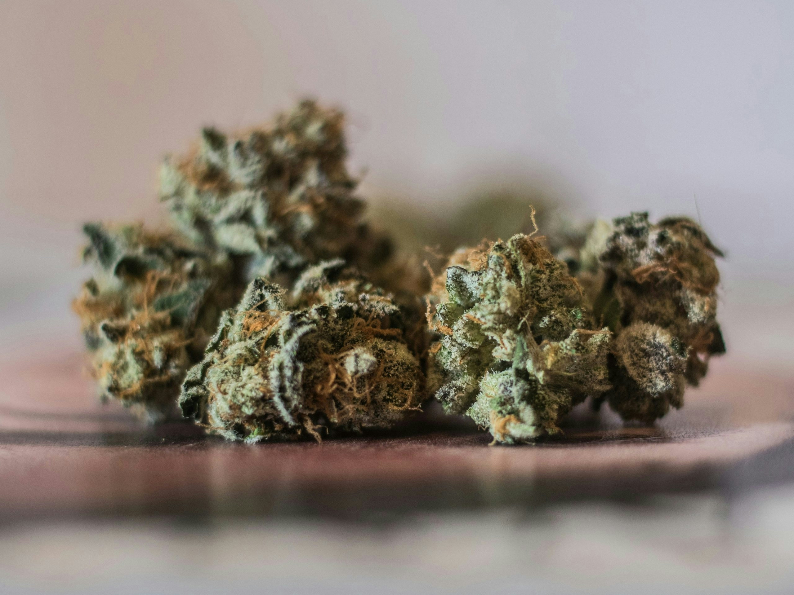 Buy Weed in Budapest