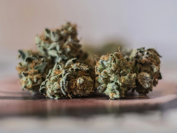 Buy Weed in Budapest