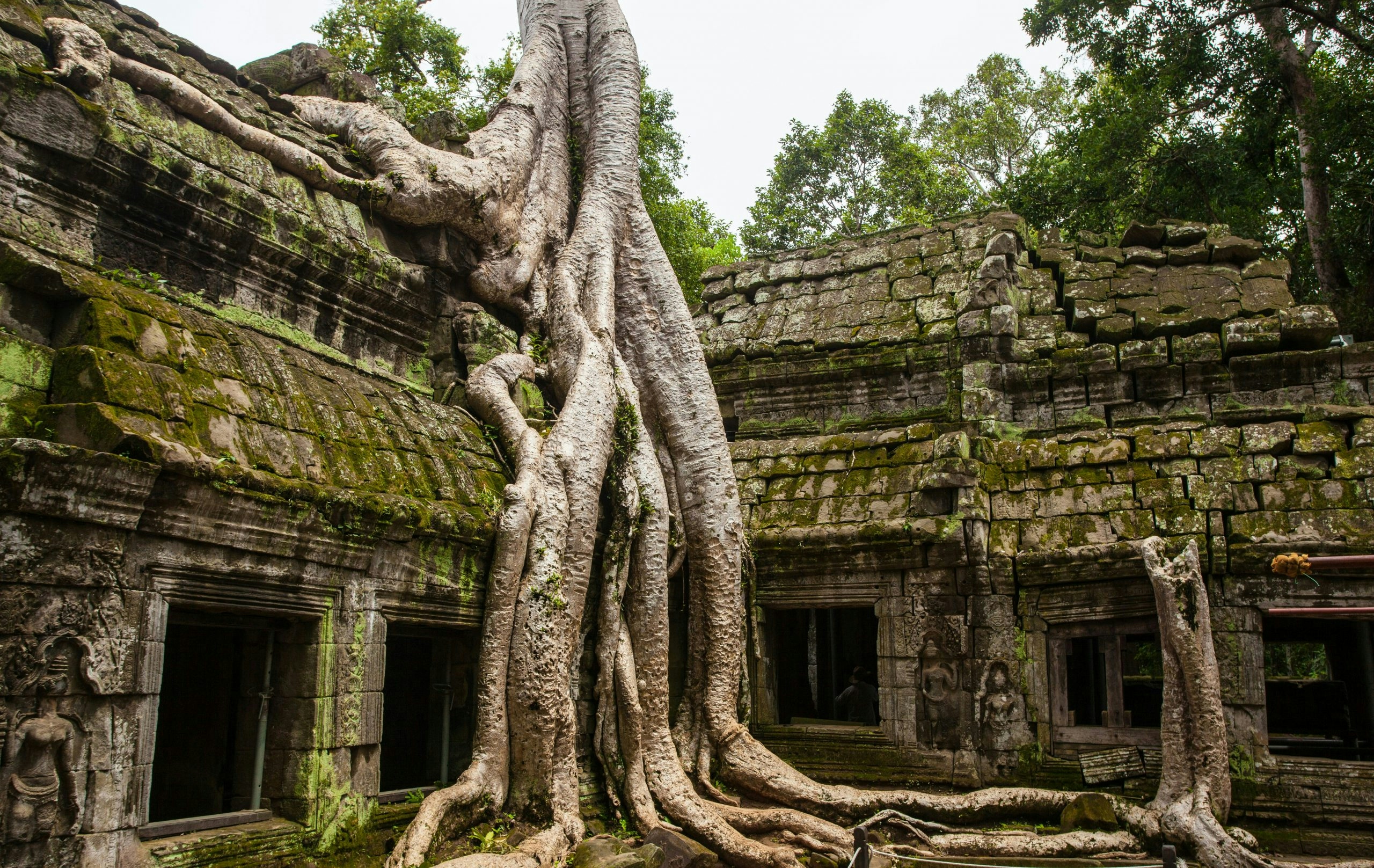 Buy Weed in Cambodia