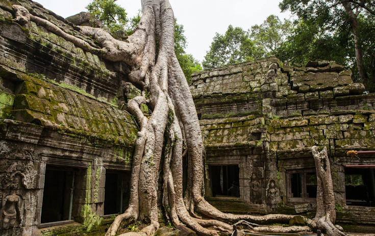 Buy Weed in Cambodia