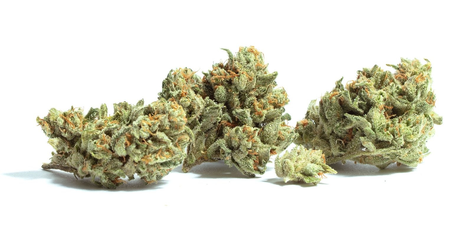 best medical marijuana strains