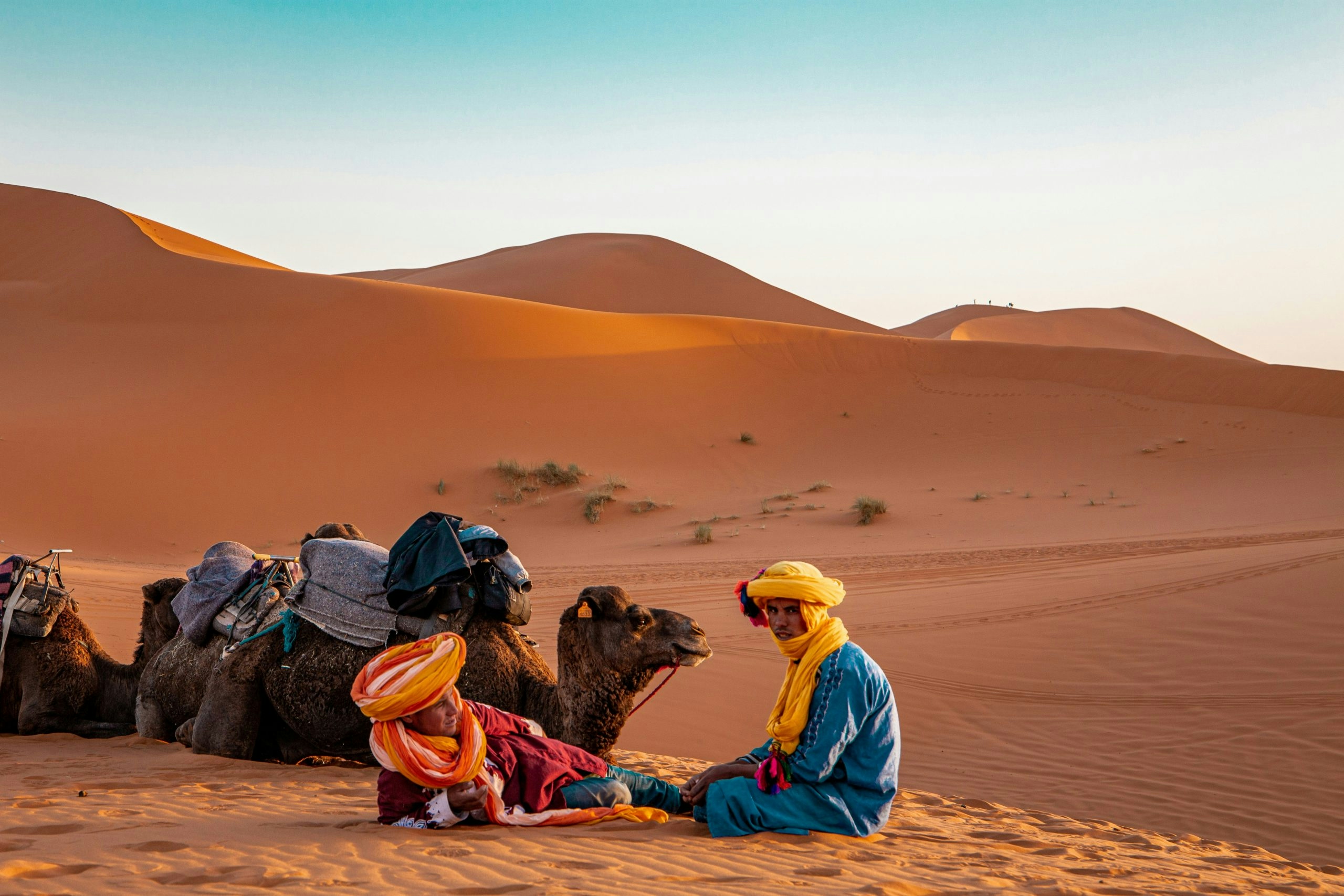 Buy Weed in Morocco