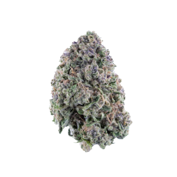 Azul Bluntz Greenhouse Flower