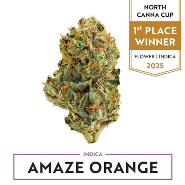Amaze Orange
