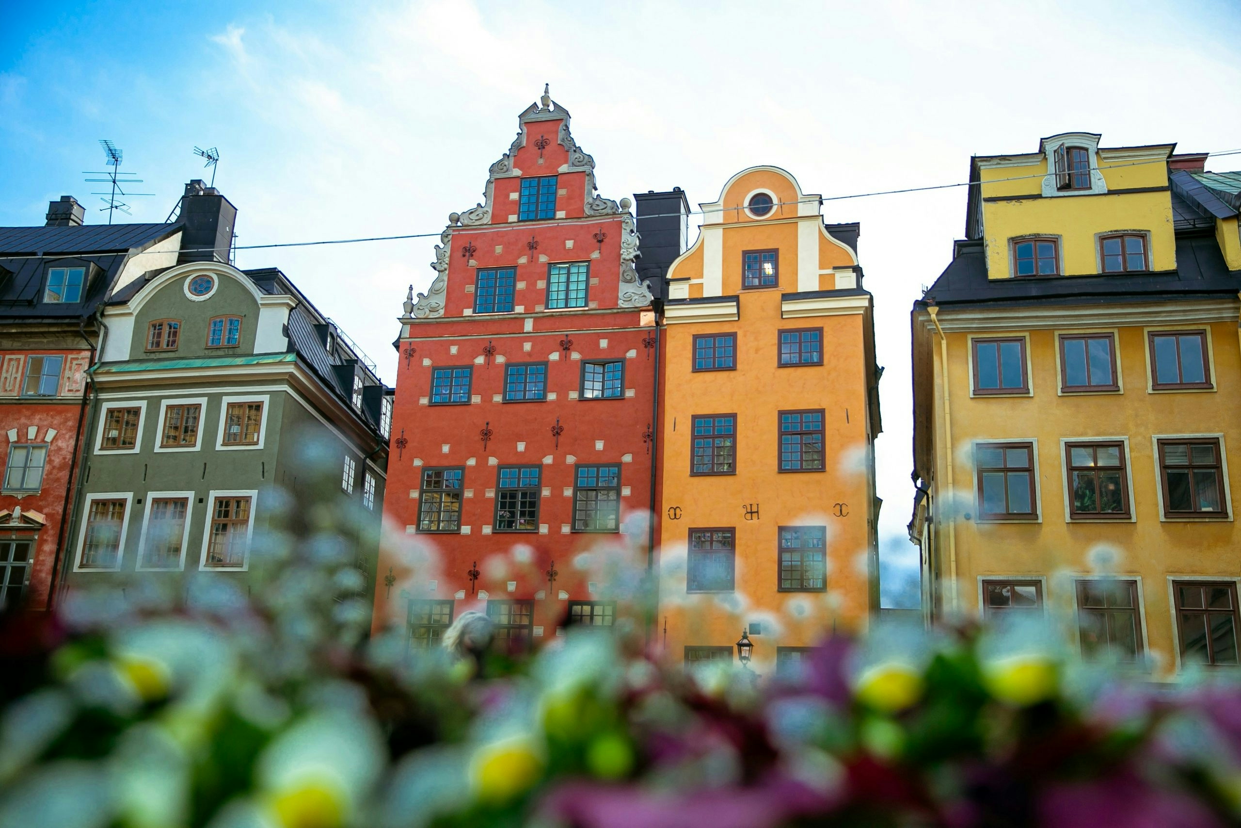 Buy Weed in Sweden