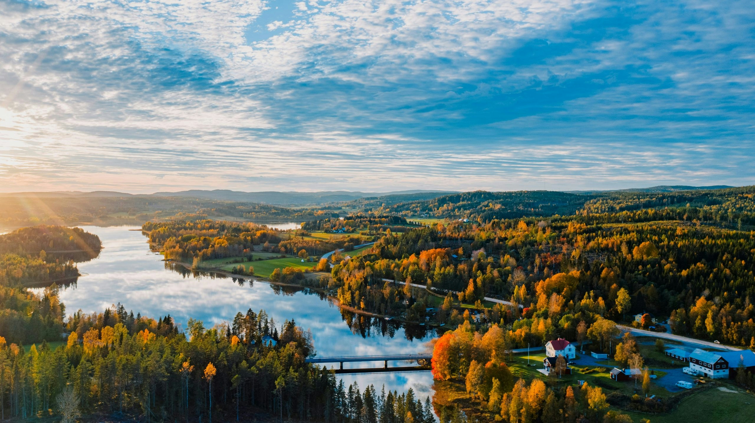 Buy Weed in Sweden