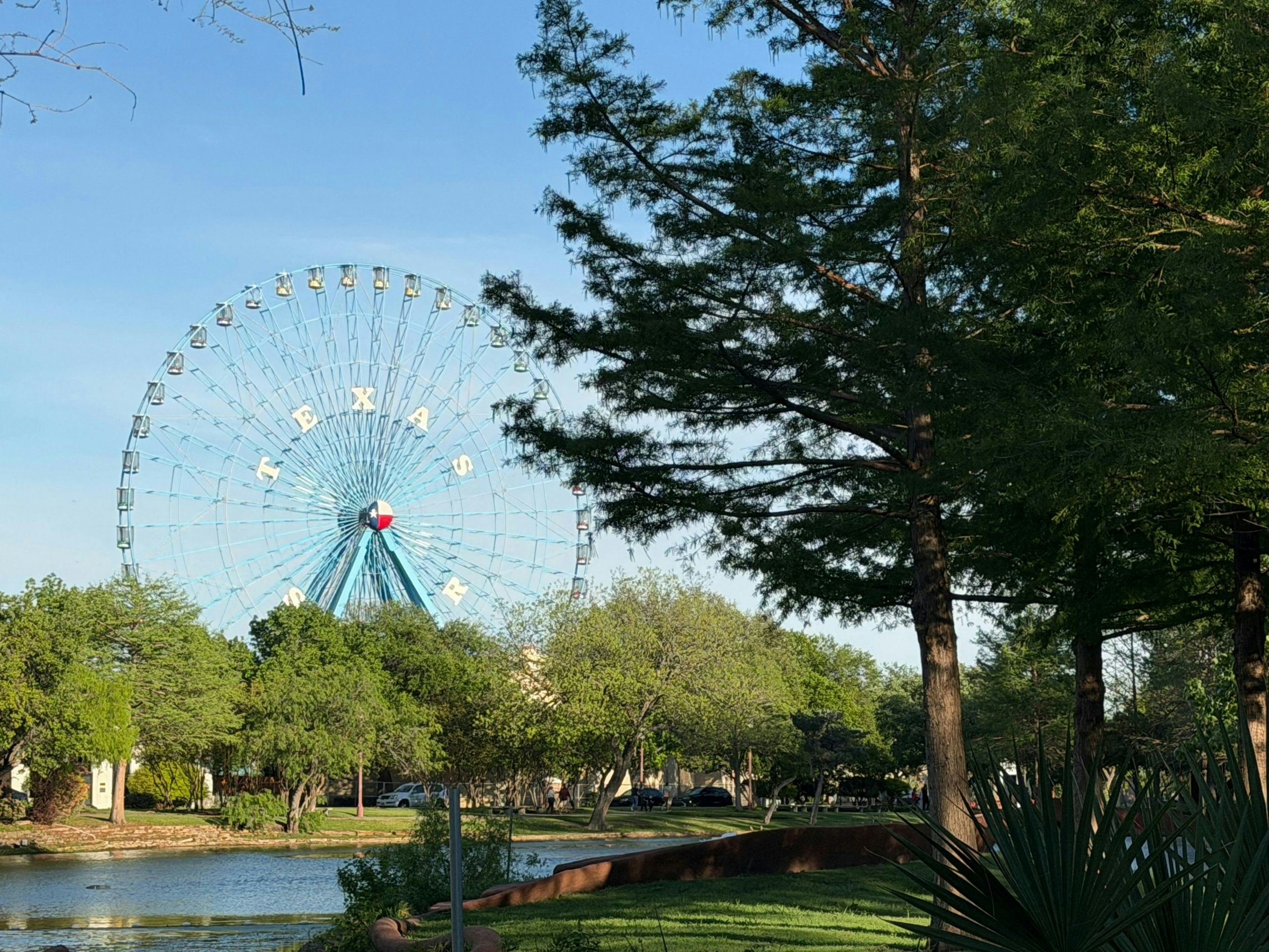 weed in dallas