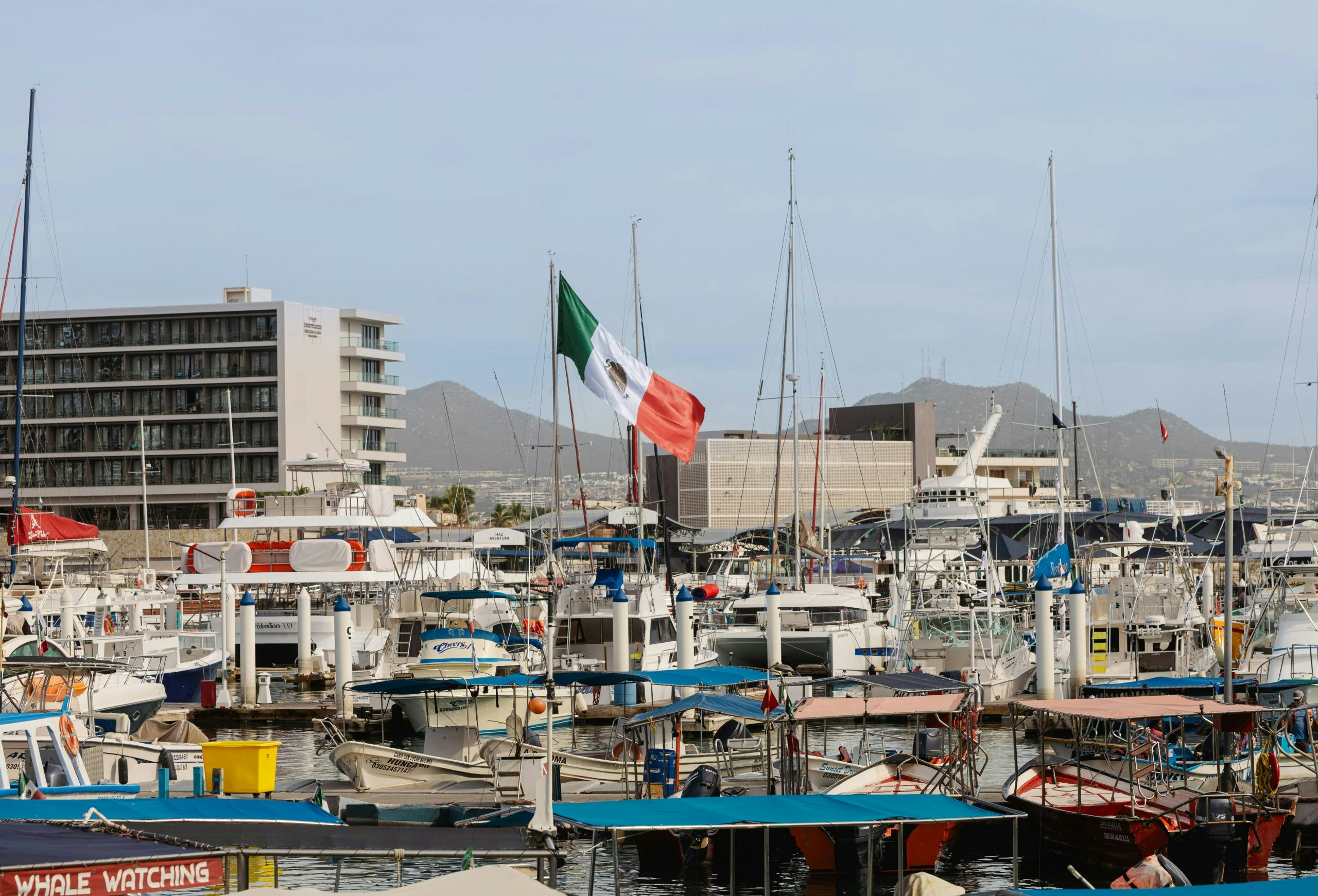 Buy Weed in Cabo