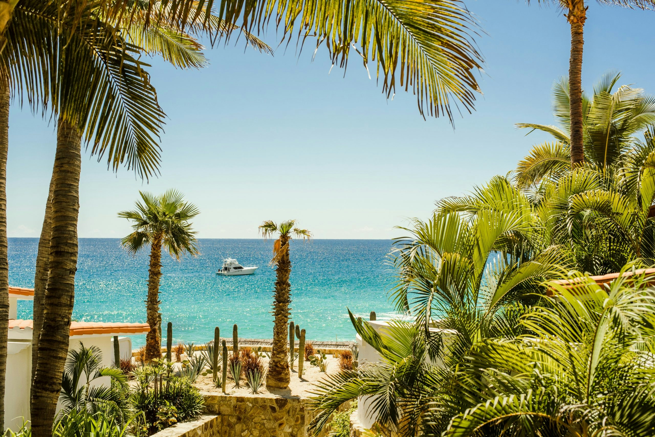 Buy Weed in Cabo