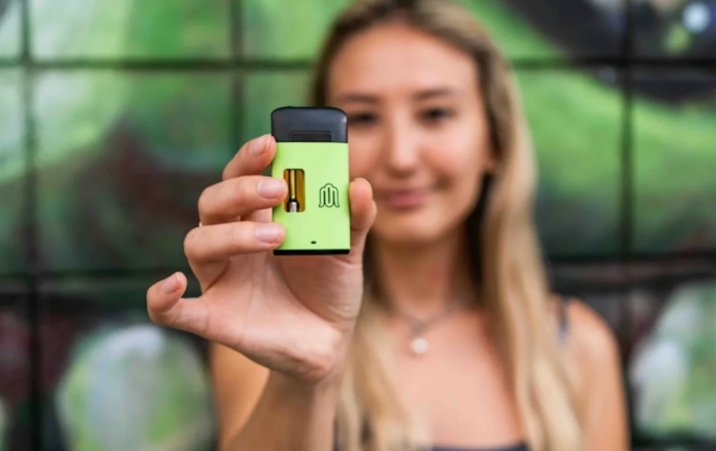 modus tapout blend uppercut blend knockout blend