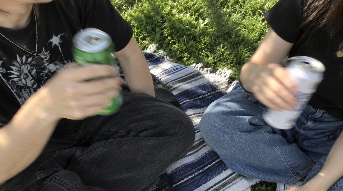 friends sharing some cannabis drinks at a picnic