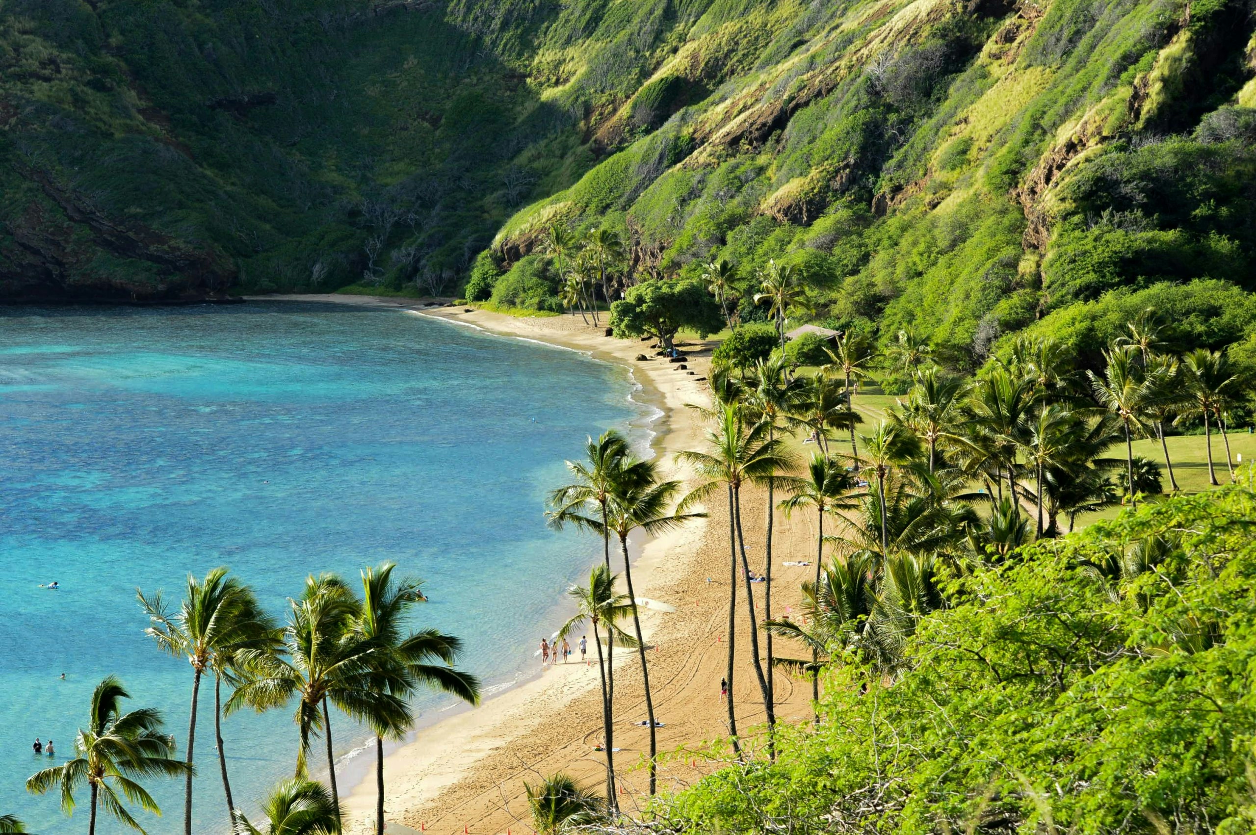 How to Buy Weed in Hawaii: Dispensaries, Medical-Only Laws & What Tourists Should Know