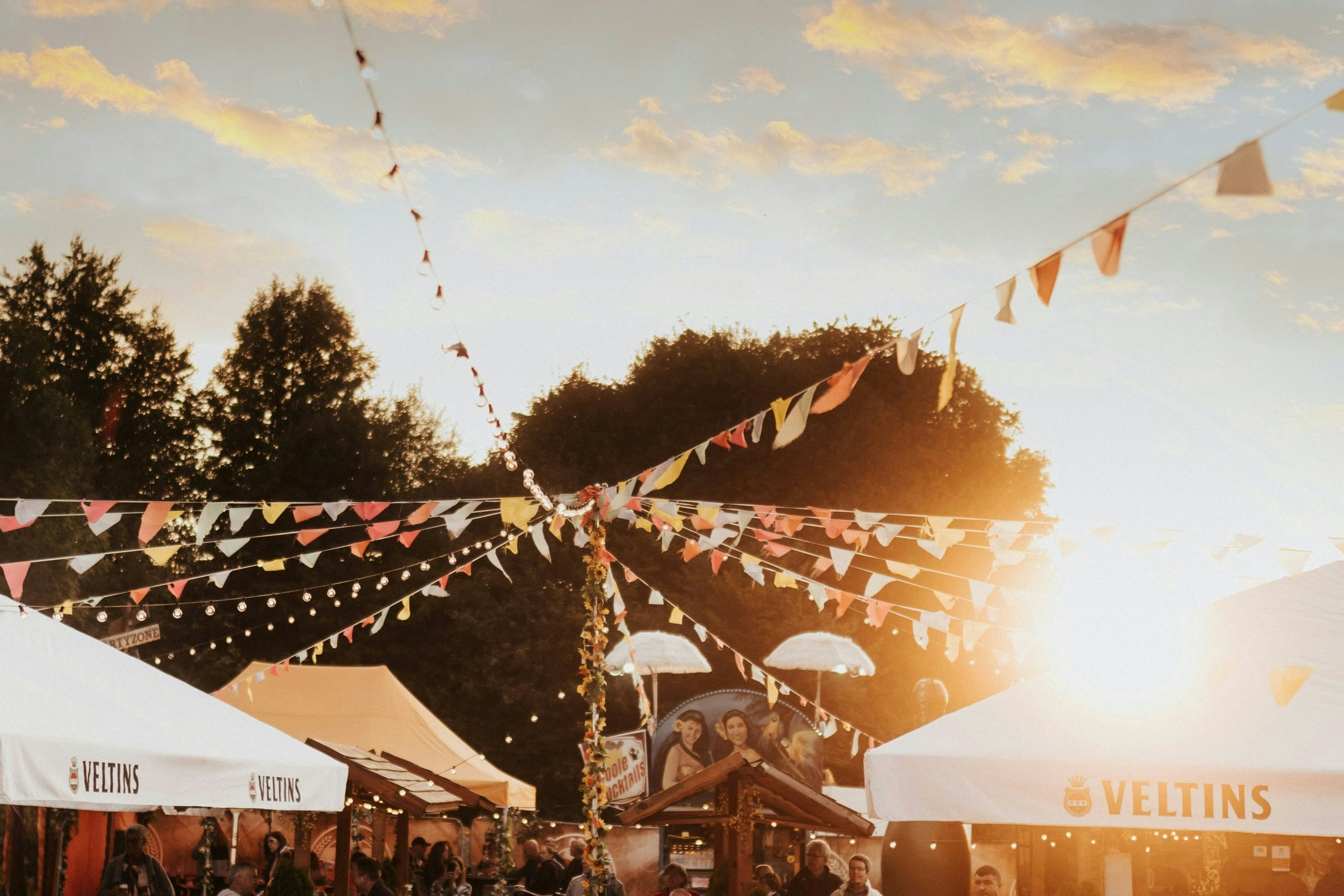 festival survival guide