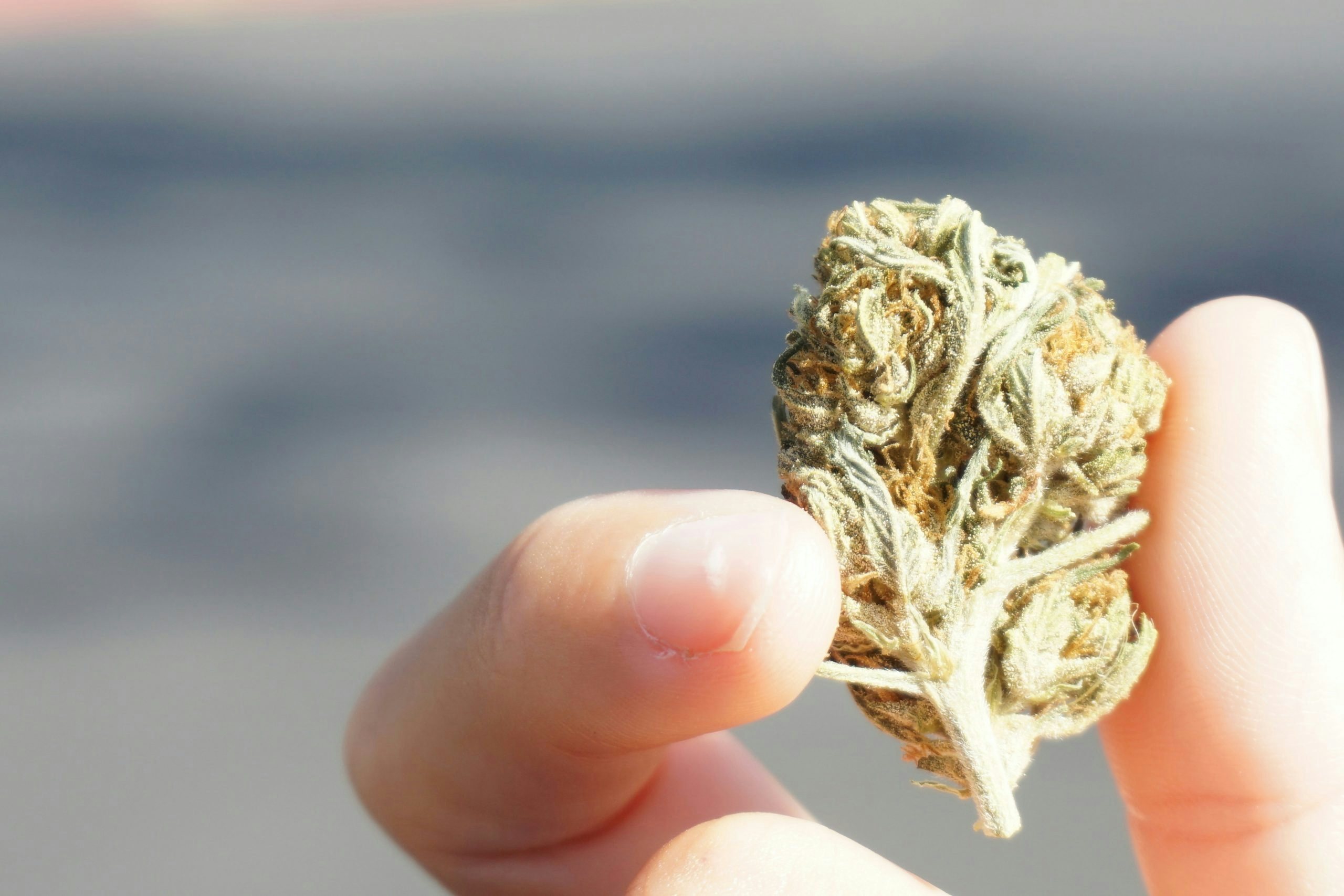 Buy Weed in Laos